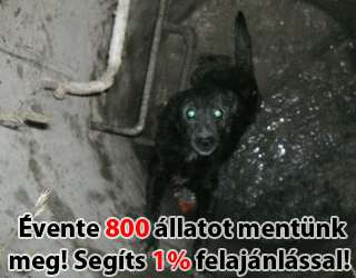 állatmenhelyek támogatás, adó 1 százalék állatmentés, állatmenhely
