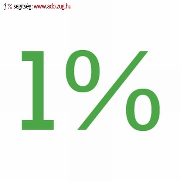 SZJA 1 százalék 2013. évben