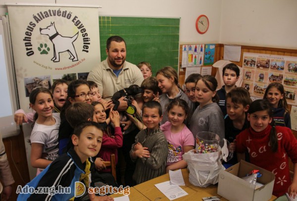 Állatvédelem, adó egy százalék támogatás