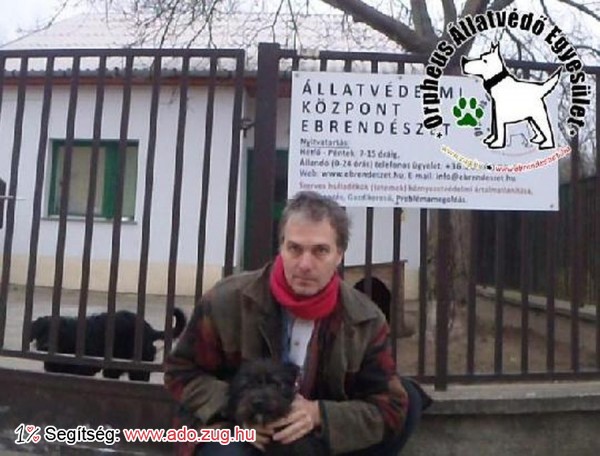 Állatmentés: Szerető Gazdihoz került Karika!