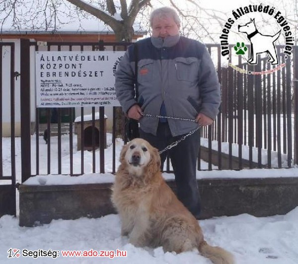 Adó 1 százalék támogatásoknak köszönhetően szerető Gazdinál Leo!