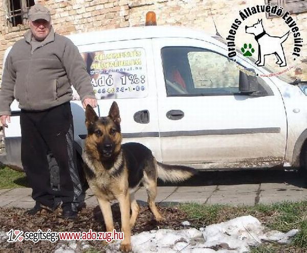 Az adóegyszázalék felajánlásoknak köszönhetően Gazdihoz került Berkenye!