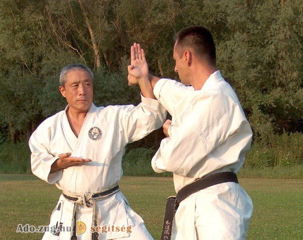 Magyarországi Wado-ryu Karate Szövetség