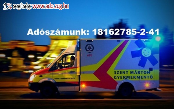 Szent Márton Gyermekmentő Szolgálat Közhasznú Alapítvány
