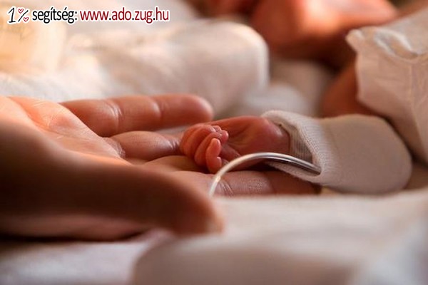 Bébi Koraszülött Mentő Alapítvány