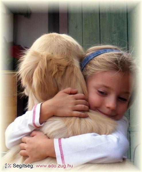 Retriever Rescue Fajtamentő Egyesület