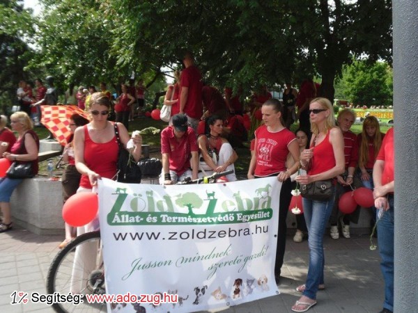 Zöld Zebra Állat- és Természetvédő Egyesület