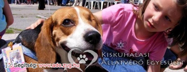 Kiskunhalasi Állatvédő Egyesület