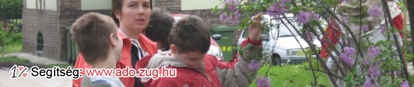 Szól a szív... Alapítvány