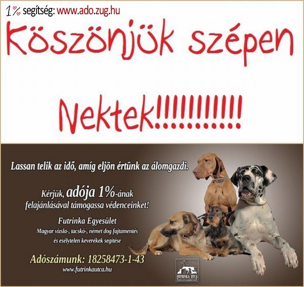 Futrinka utca Kutyavédő és Kutyás Szabadidősport Egyesület