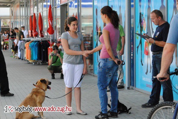 Göcsej Kutya Klub