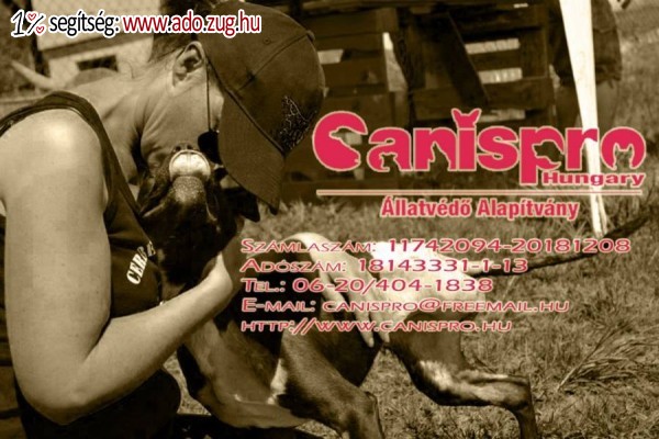 Canispro Hungary Állatvédő Alapítvány